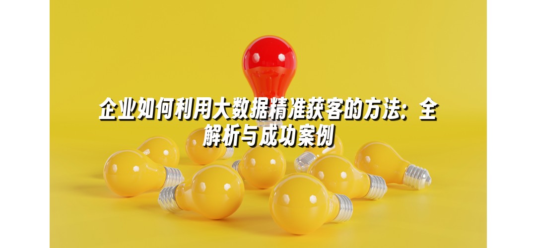 企业如何利用大数据精准获客的方法：全解析与成功案例