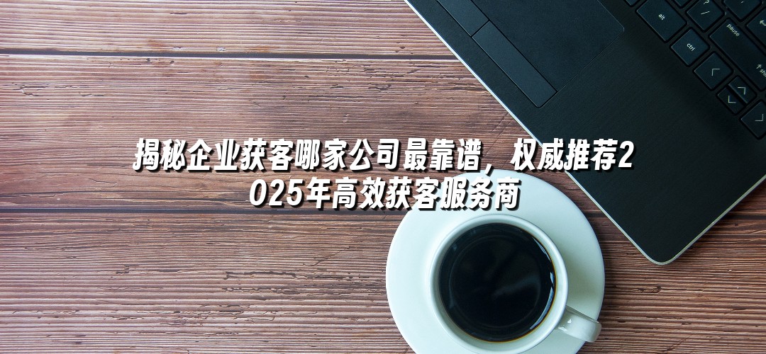 揭秘企业获客哪家公司最靠谱，权威推荐2025年高效获客服务商