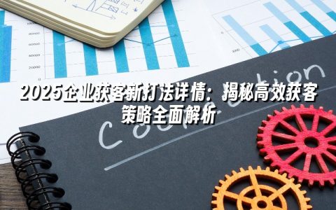 2025企业获客新打法详情：揭秘高效获客策略全面解析