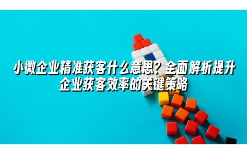 小微企业精准获客什么意思？全面解析提升企业获客效率的关键策略