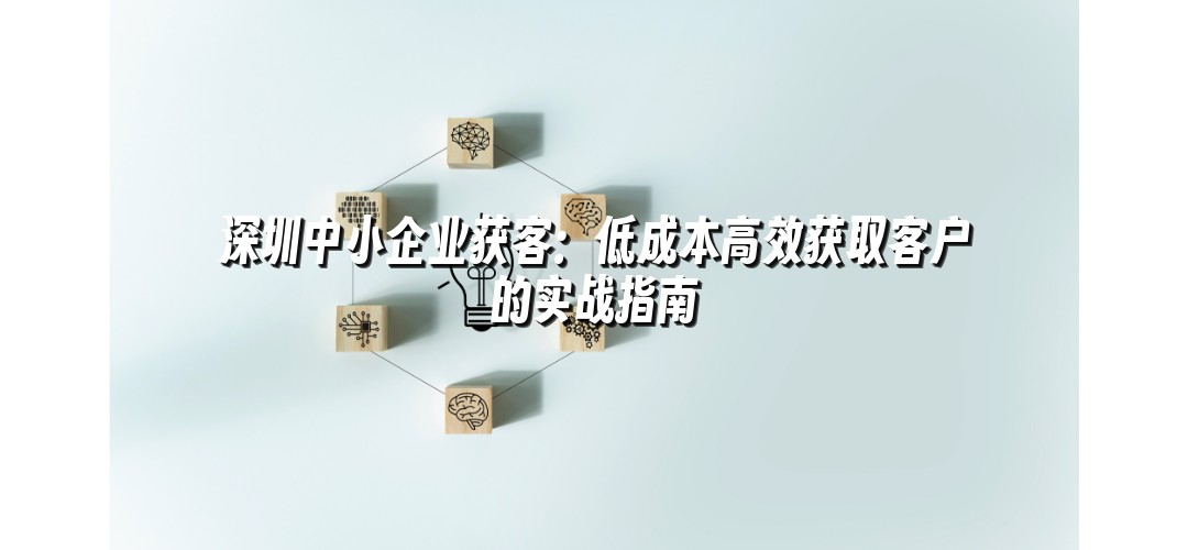 深圳中小企业获客：低成本高效获取客户的实战指南