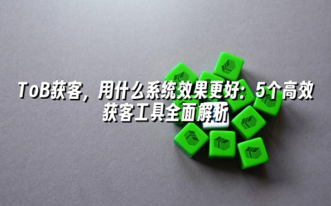 ToB获客，用什么系统效果更好：5个高效获客工具全面解析