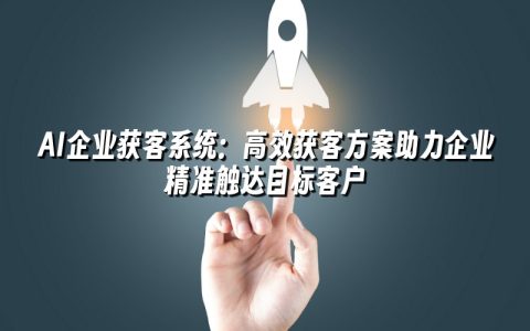 AI企业获客系统：高效获客方案助力企业精准触达目标客户