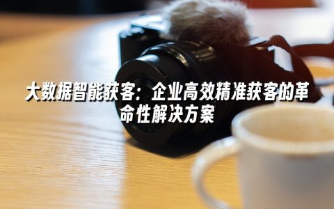 大数据智能获客：企业高效精准获客的革命性解决方案