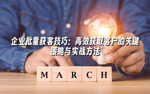 企业批量获客技巧：高效获取客户的关键策略与实战方法