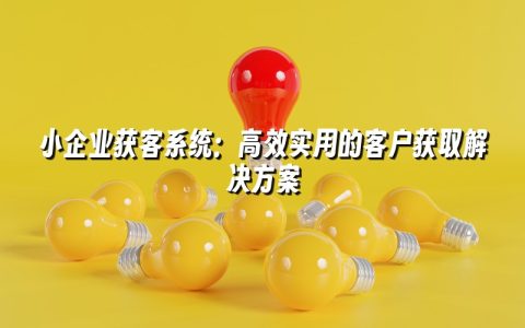 小企业获客系统：高效实用的客户获取解决方案