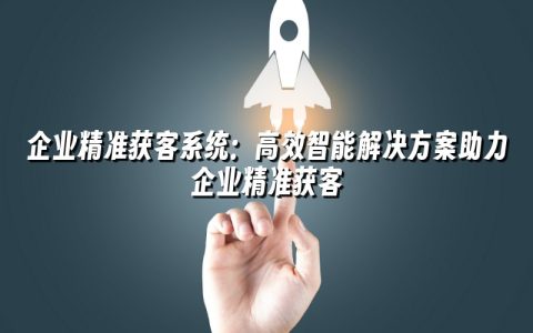 企业精准获客系统：高效智能解决方案助力企业精准获客