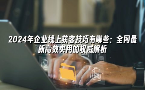 2024年企业线上获客技巧有哪些：全网最新高效实用的权威解析