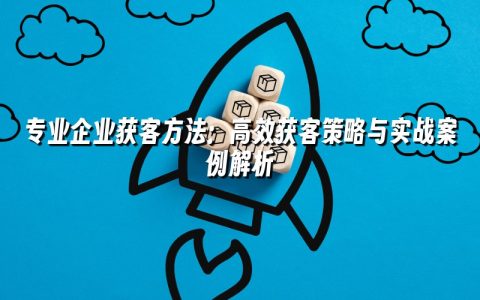 专业企业获客方法：高效获客策略与实战案例解析