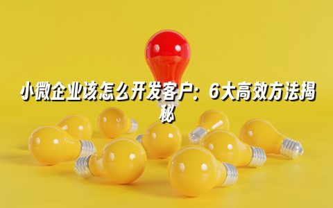 小微企业该怎么开发客户：6大高效方法揭秘