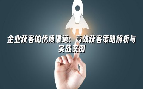 企业获客的优质渠道：高效获客策略解析与实战案例