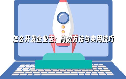 怎么开发企业主：高效方法与实用技巧
