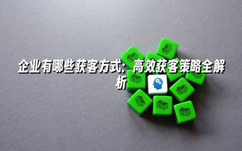 企业有哪些获客方式：高效获客策略全解析