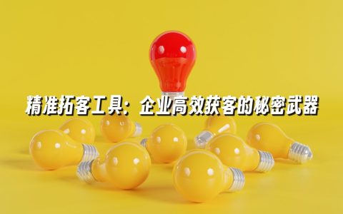 精准拓客工具：企业高效获客的秘密武器