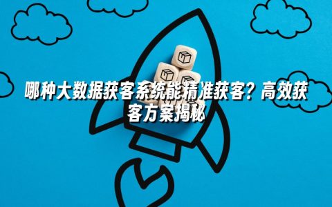 哪种大数据获客系统能精准获客？高效获客方案揭秘