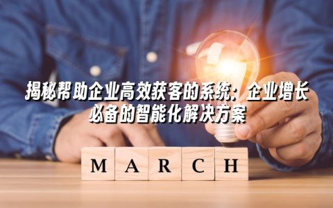 揭秘帮助企业高效获客的系统：企业增长必备的智能化解决方案