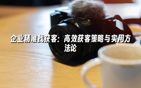 企业精准找获客：高效获客策略与实用方法论