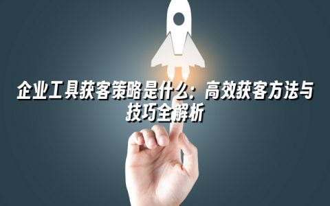企业工具获客策略是什么：高效获客方法与技巧全解析