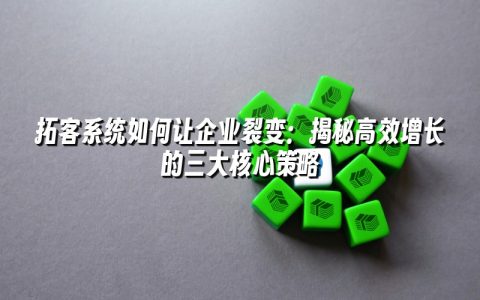 拓客系统如何让企业裂变：揭秘高效增长的三大核心策略