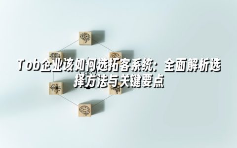 Tob企业该如何选拓客系统：全面解析选择方法与关键要点