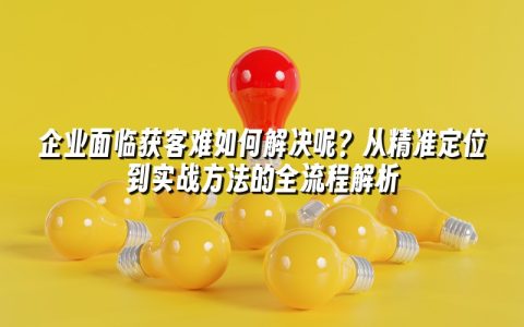 企业面临获客难如何解决呢？从精准定位到实战方法的全流程解析