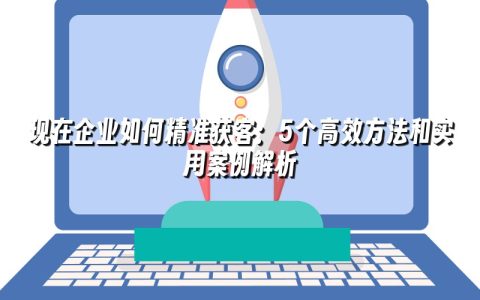 现在企业如何精准获客：5个高效方法和实用案例解析