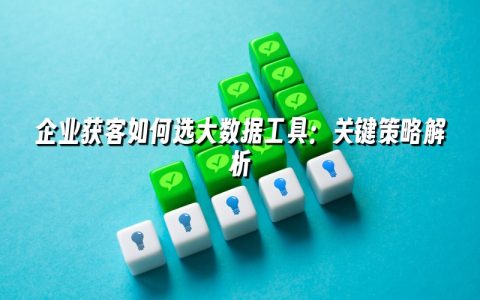 企业获客如何选大数据工具：关键策略解析