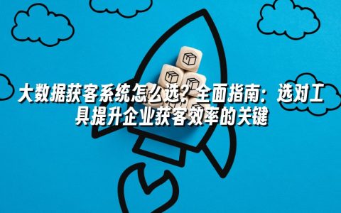 大数据获客系统怎么选？全面指南：选对工具提升企业获客效率的关键