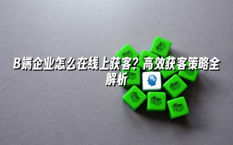 B端企业怎么在线上获客？高效获客策略全解析