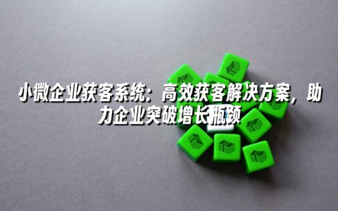 小微企业获客系统：高效获客解决方案，助力企业突破增长瓶颈