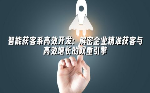 智能获客系高效开发：解密企业精准获客与高效增长的双重引擎