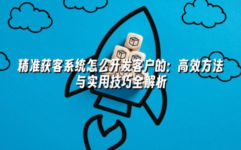 精准获客系统怎么开发客户的：高效方法与实用技巧全解析