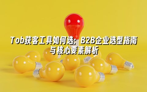 Tob获客工具如何选：B2B企业选型指南与核心要素解析